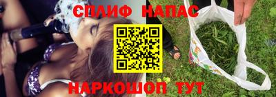 тгк Обь