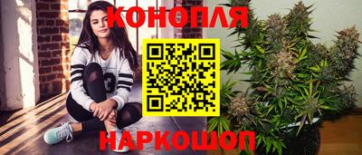 тгк Обь