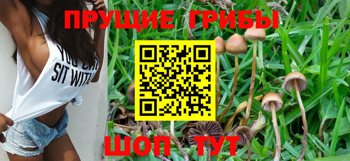 Галлюциногенные грибы мухоморы  Вход с VPN  Сухой Лог 
